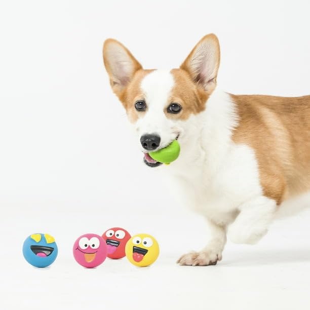 FYNORI emoticon latex dog toy variety pack highlights durable daily fun
