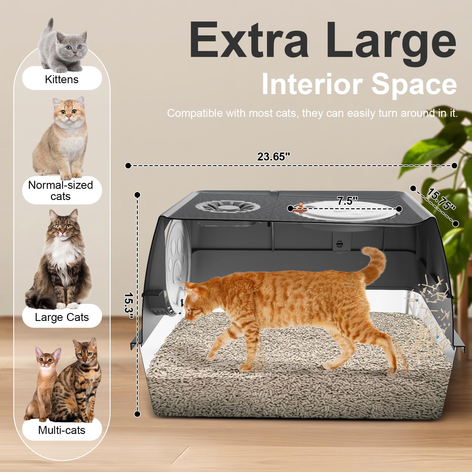 FZGhome XL top-entry stainless steel litter box shows easy access for pets