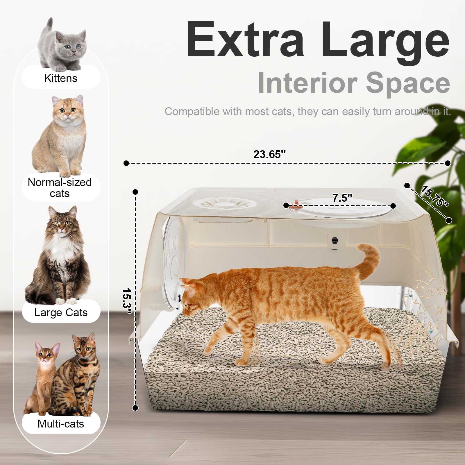 FZGhome top-entry enclosed litter box provides private space and odor control.