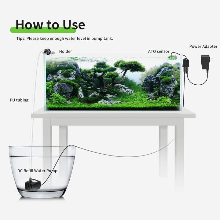 FZONE ATO sump installation demonstrates rimed and rimless compatibility.
