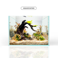 FZONE driftwood in aquarium scene demonstrates safe, pH-neutral hardscape for plant-friendly setups.