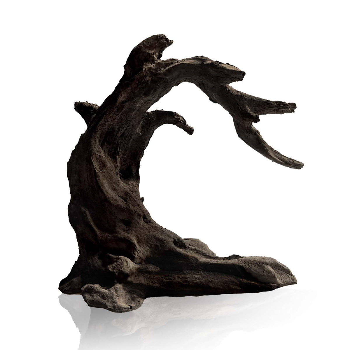 FZONE driftwood aquarium setup with natural hardscape enhances aquascape aesthetics.