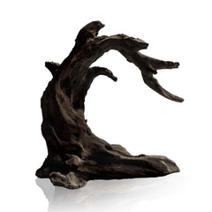 FZONE driftwood aquarium setup with natural hardscape enhances aquascape aesthetics.