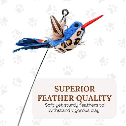 GADGETSOLOGY bells and feathers close-up shows sensory appeal for cats.