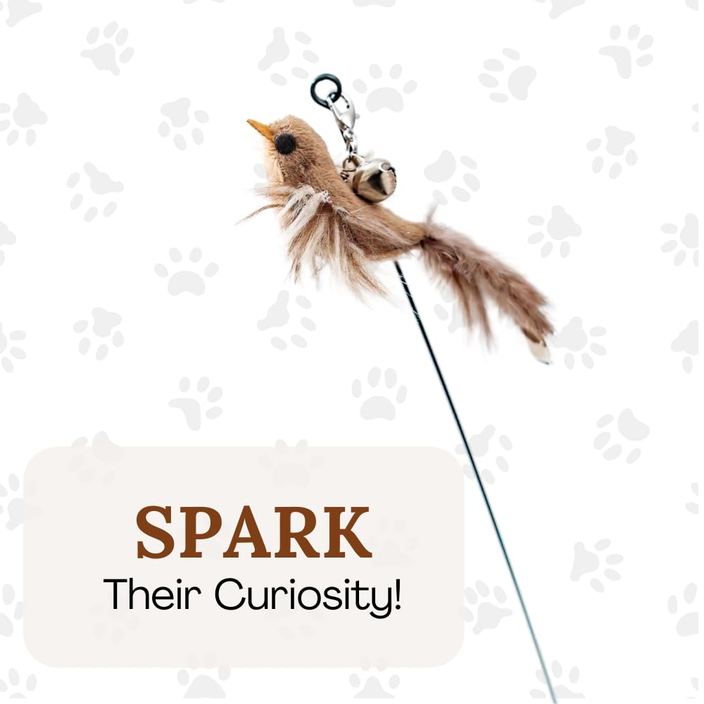 GADGETSOLOGY indoor cat toys promote hours of active engagement without daily supervision.