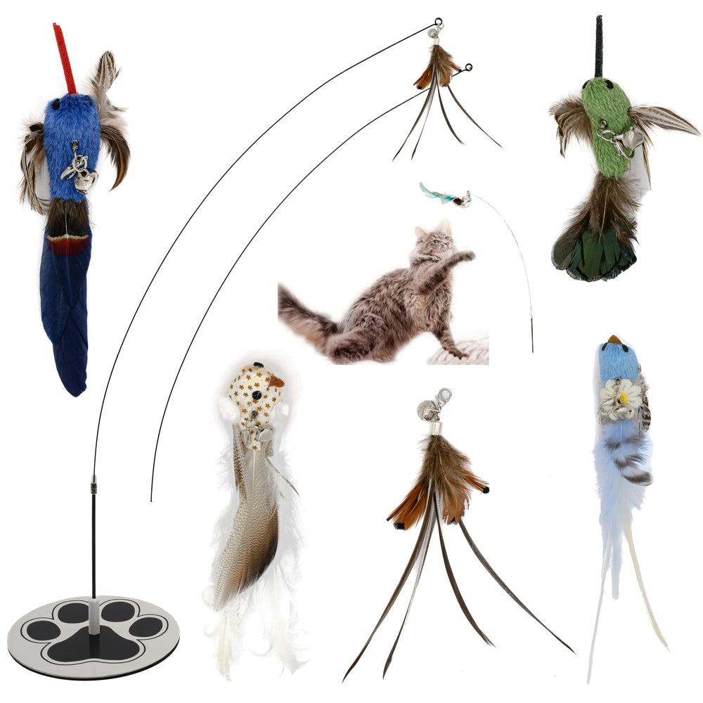 GADGETSOLOGY cat wand teaser boosts active play for indoor cats.