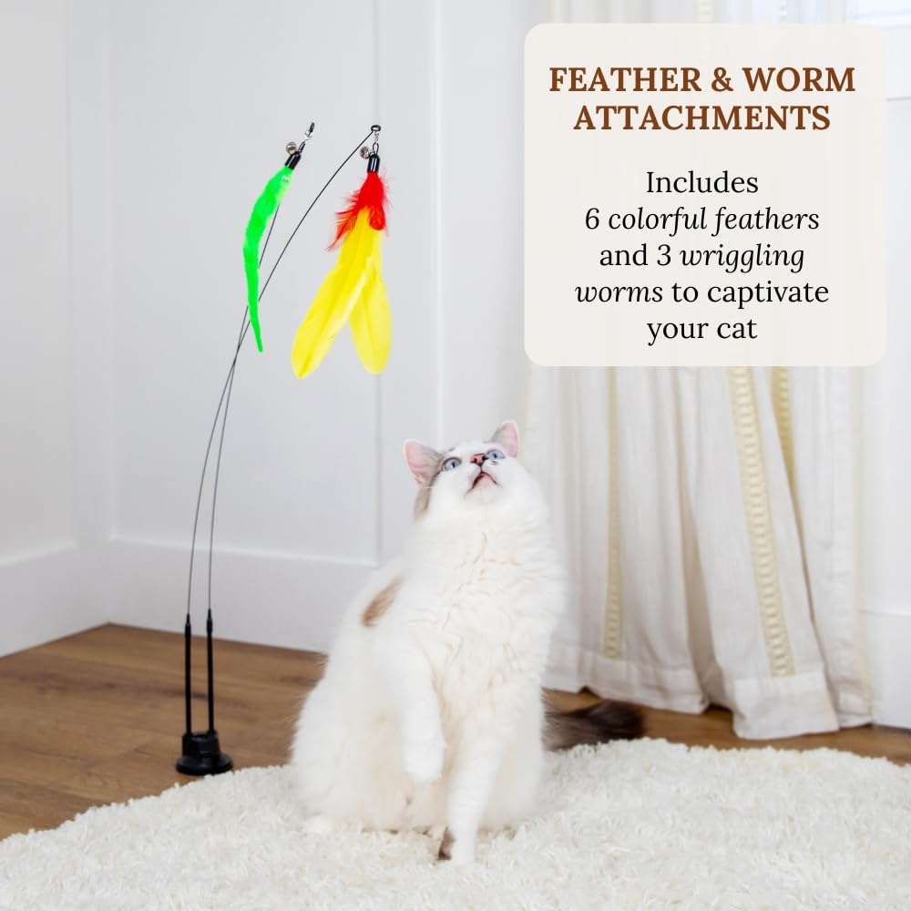 GADGETSOLOGY dual suction wand for floor or window mounting adventures.