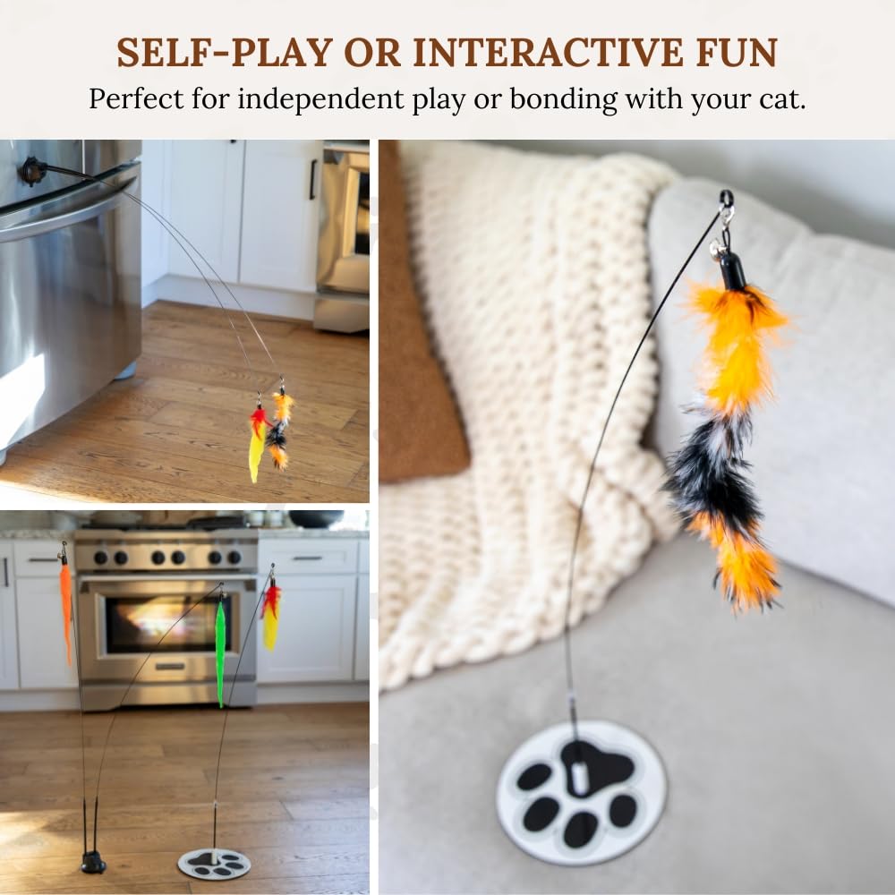 GADGETSOLOGY six colorful feather attachments highlight dynamic fluttering targets during play.