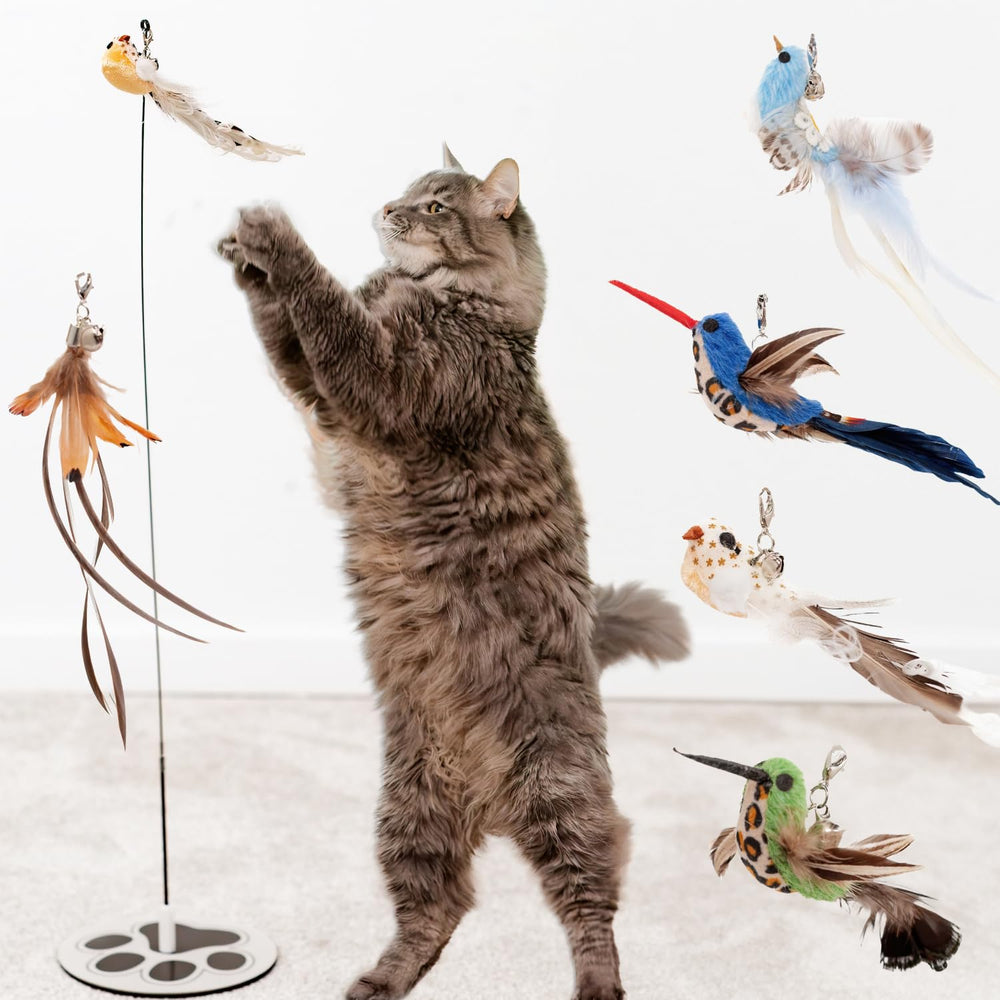 GADGETSOLOGY feather toy showcases soft feathers for engaging play.
