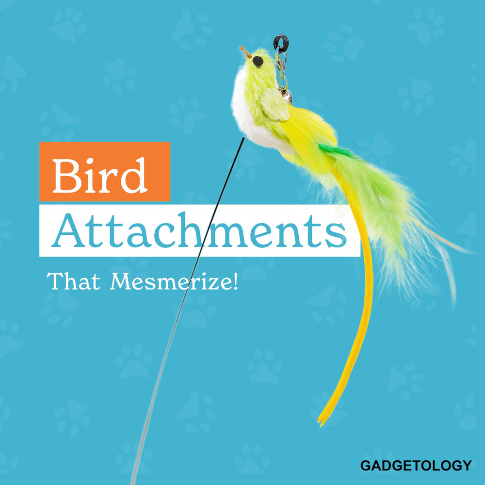 Gadgetsology five-piece-bird-collection provides varied stimuli for curious cats