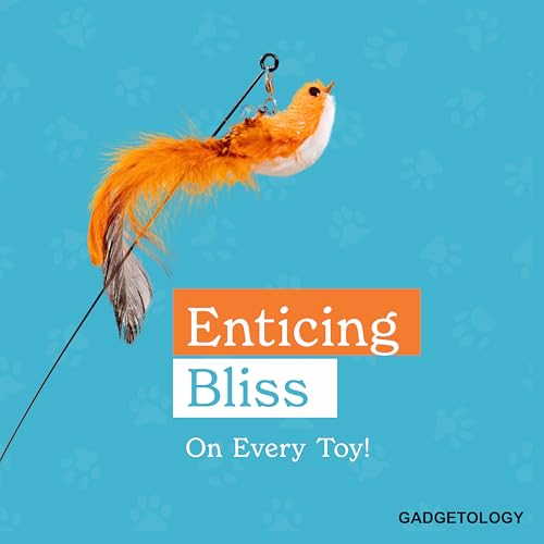 Gadgetsology hunting-toy-for-indoor-cats promotes natural play instincts