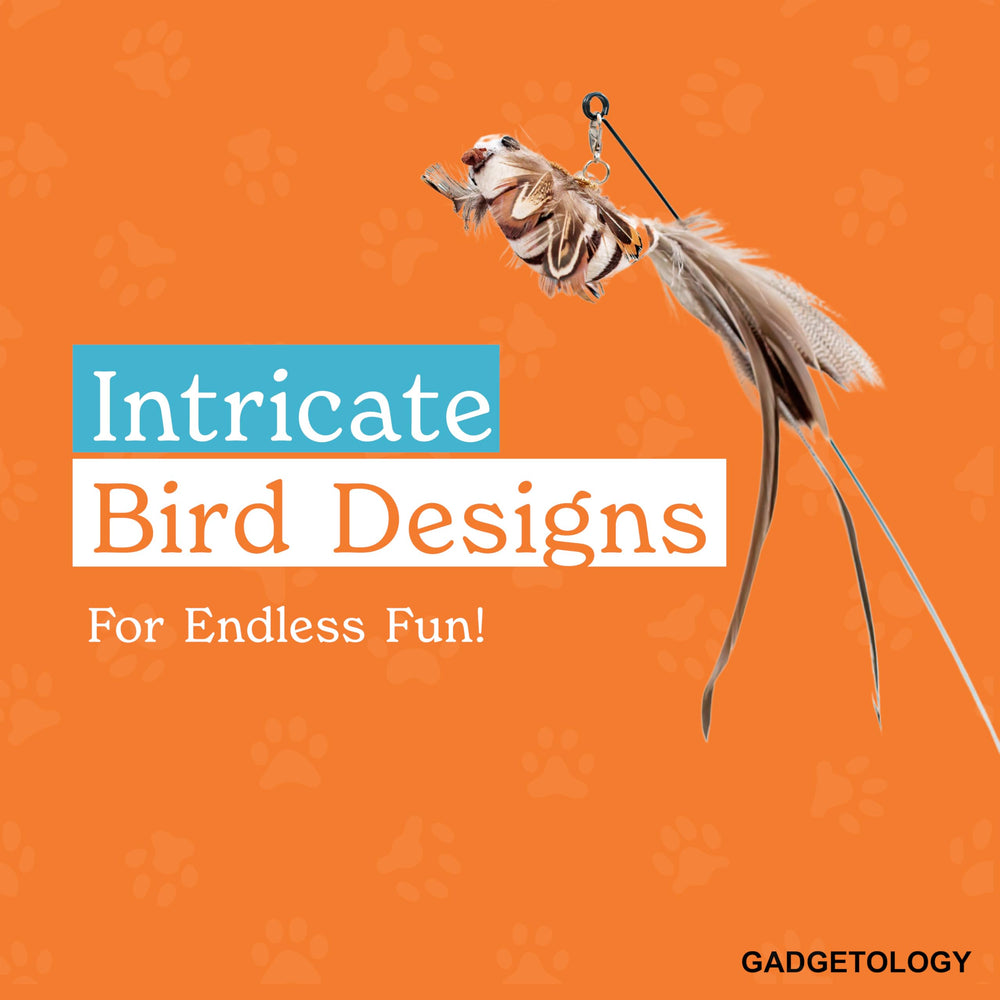 Gadgetsology self-play-cat-toy-features encourages independent fun sessions