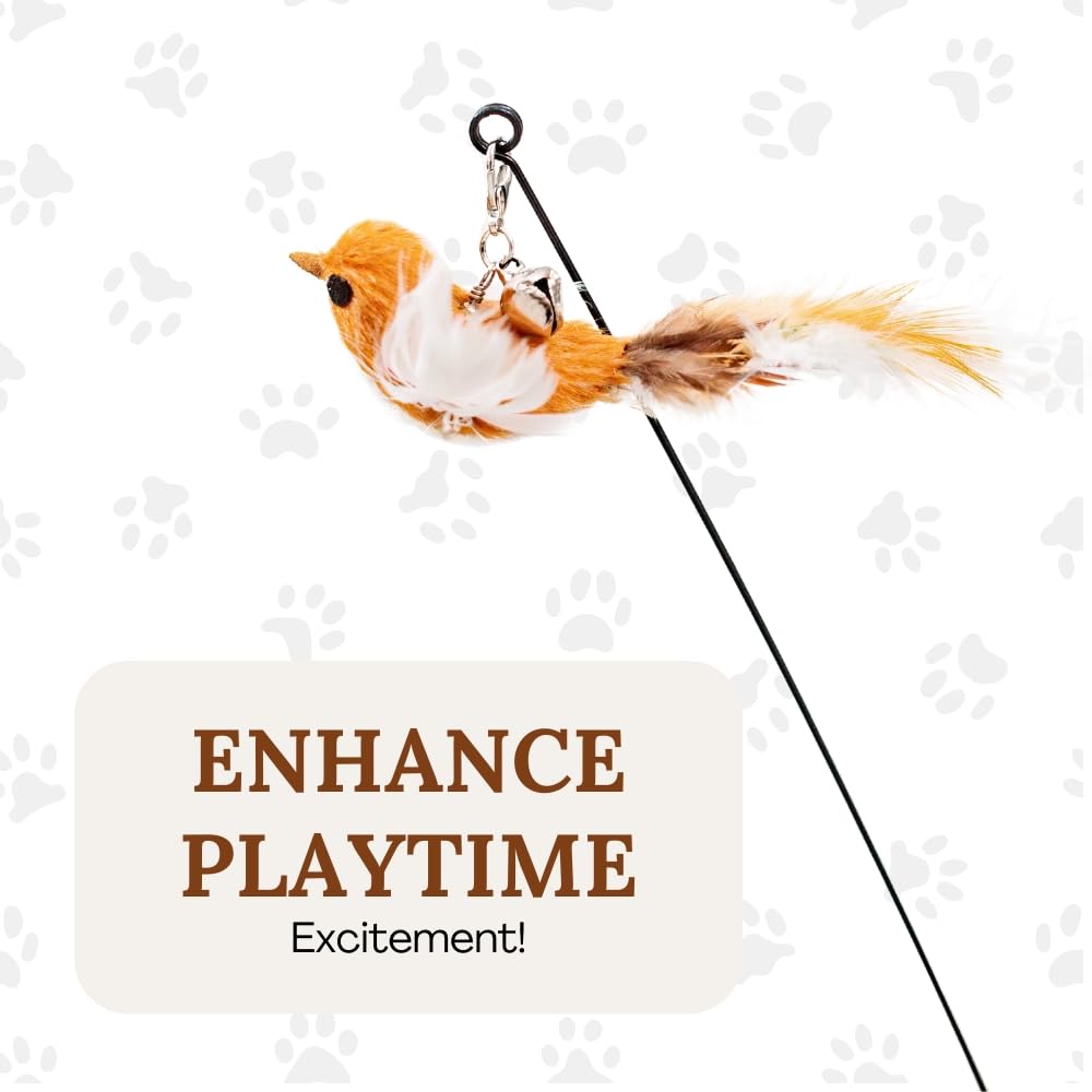 GADGETSOLOGY self-play toys let cats explore and entertain themselves when alone.