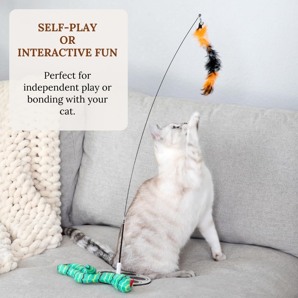 GADGETSOLOGY suction cup attachment keeps the toy steady on smooth floors.