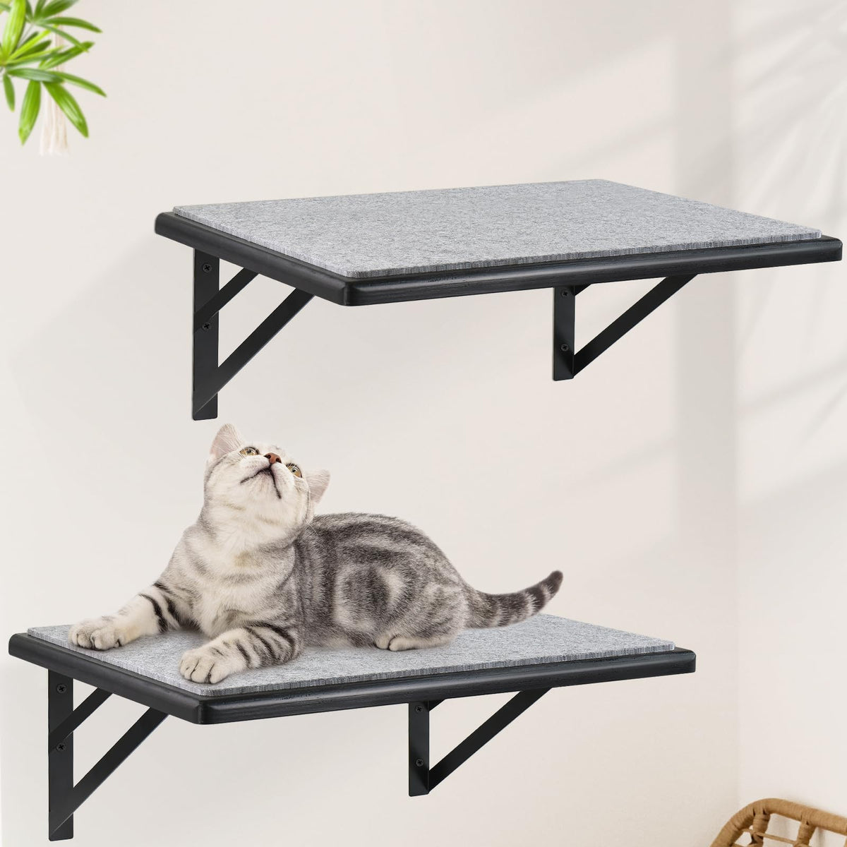 GADKE cat wall shelves set2 display showcases spacious platforms for lounging and observation.