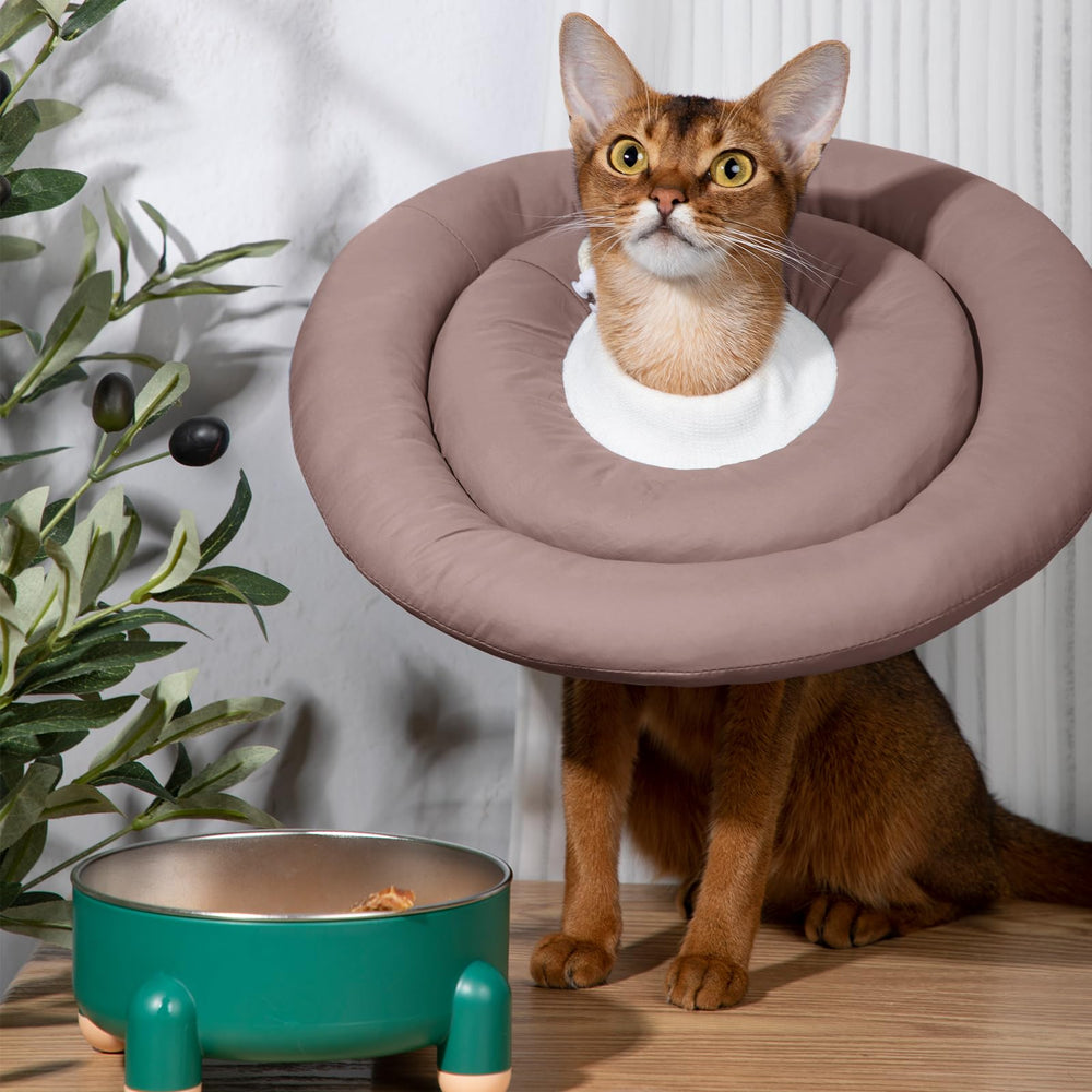 GAGABODY Elizabethan donut collar with adjustable neck buckle ensures secure, comfortable fit.