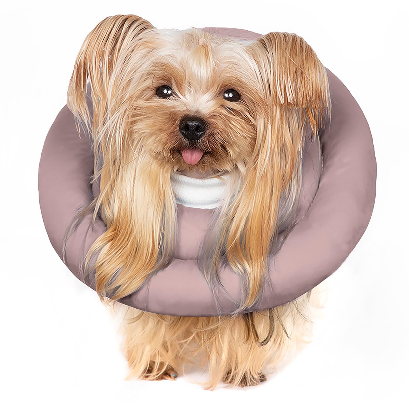 GAGABODY Elizabethan donut collar inside padding provides soft comfort for post-surgery recovery.