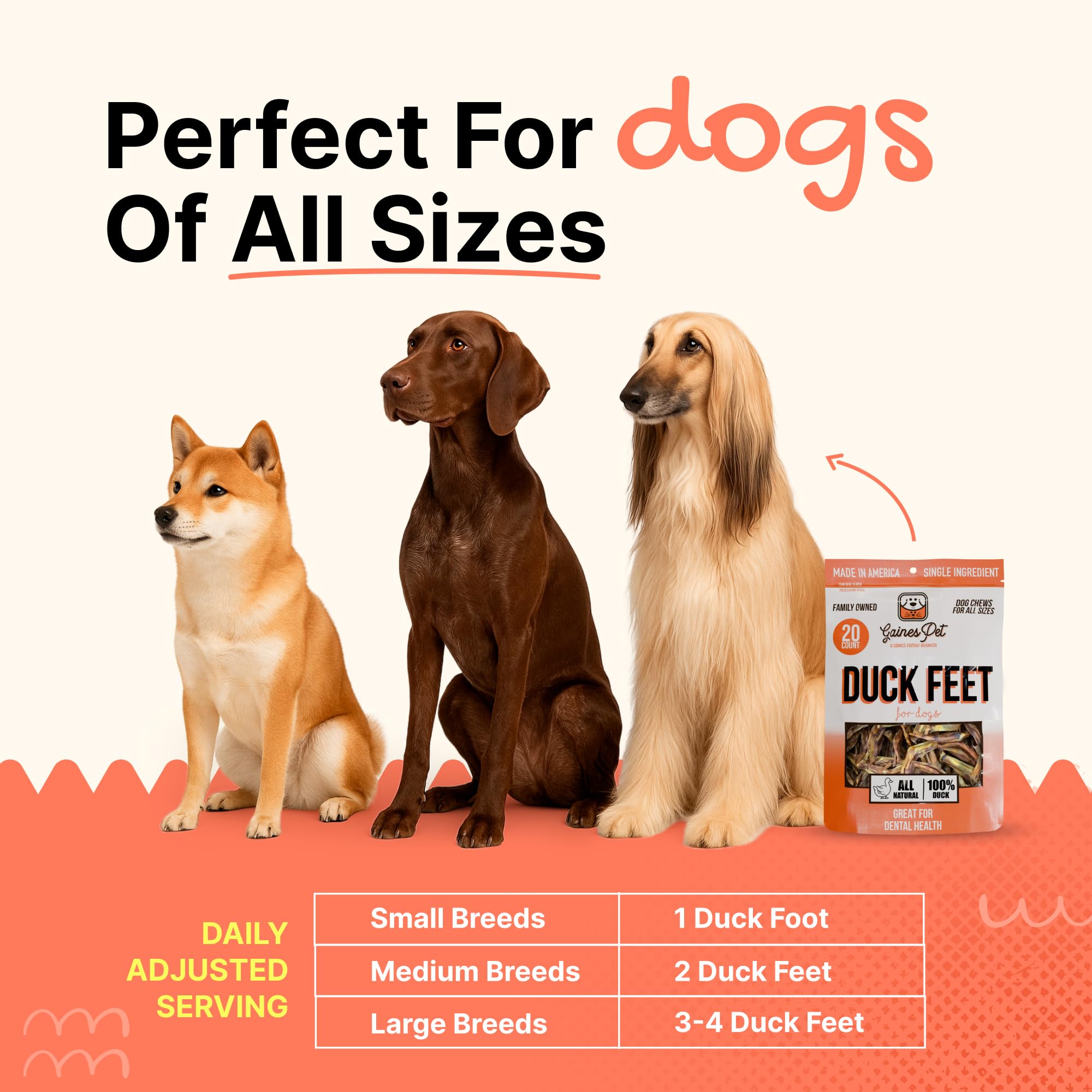 Gaines duck feet training treat—perfect for positive reinforcement.