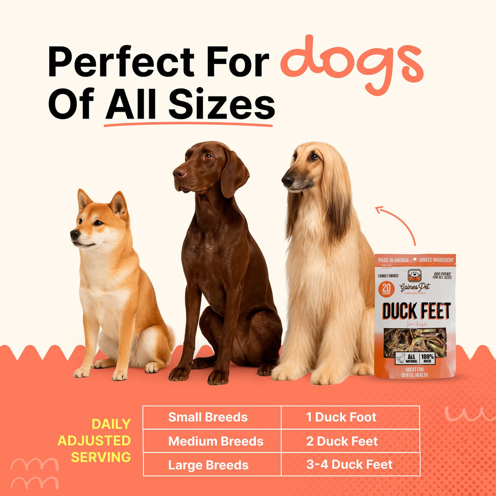 Gaines duck feet training treat—perfect for positive reinforcement.