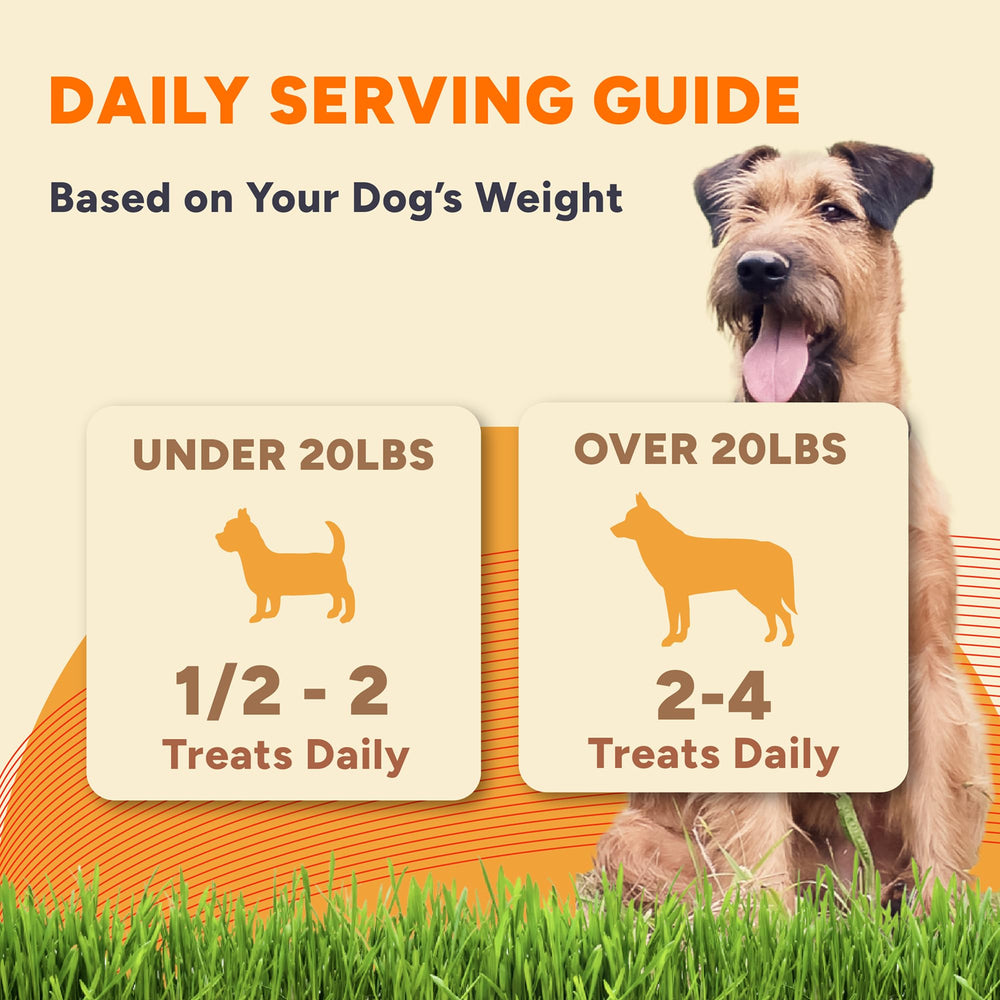 Gaines Family Farmstead vegan grain-free badge reinforces allergen-friendly choice.
