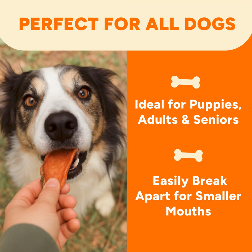 Gaines Family Farmstead Sweet Potato Dog Bones soft texture — easy-to-chew for puppies and seniors.