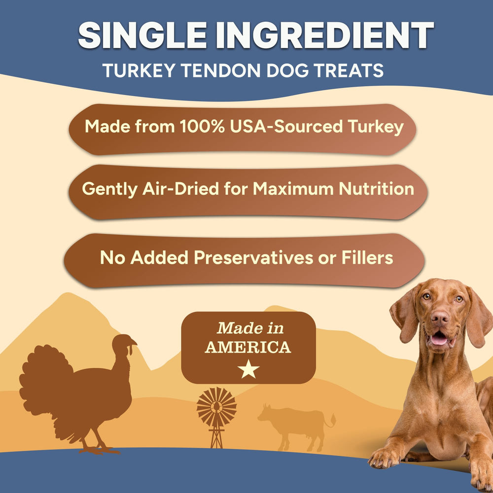 Gaines Family Farmstead turkey tendon chips open bag shows crunchy, air-dried texture for training rewards