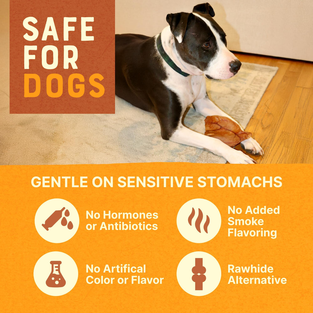 Gaines Pig Ears grain-free-dog-chews image suitable for dogs with sensitivities.