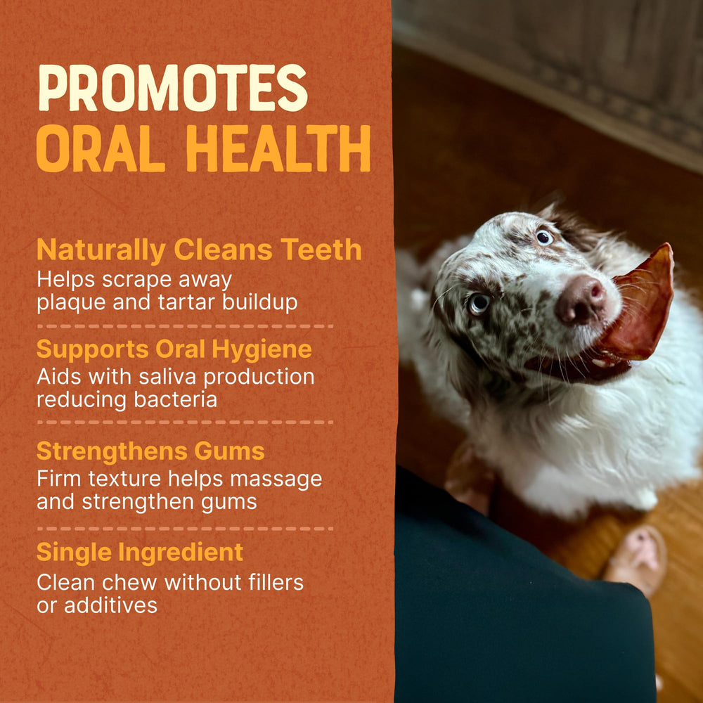 Gaines Pig Ears rawhide-alternative image offers safe digestible chew.