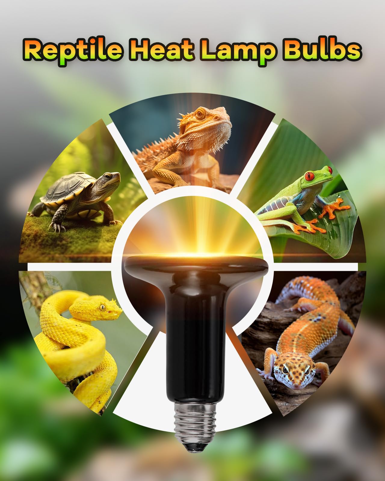 GAJUX ceramic heat emitter in terrarium setup for versatile use