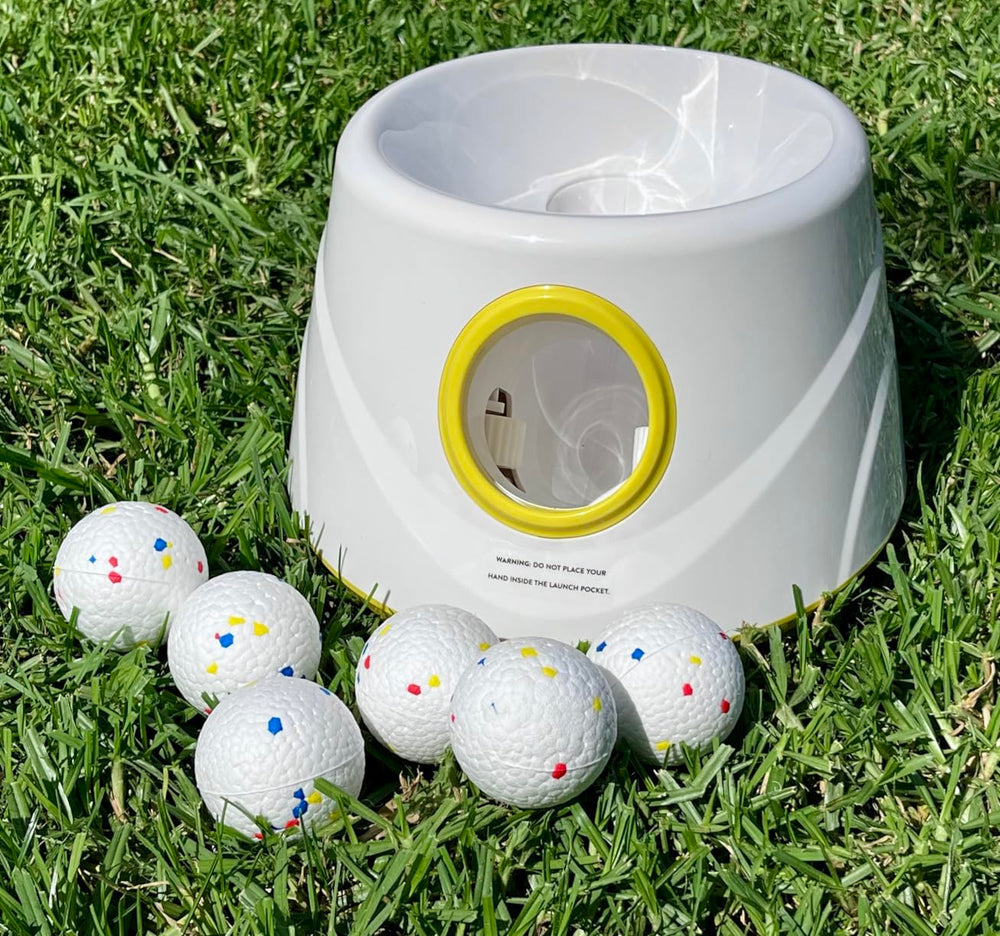 GaleKoon six-ball set with durable pet-safe balls included.