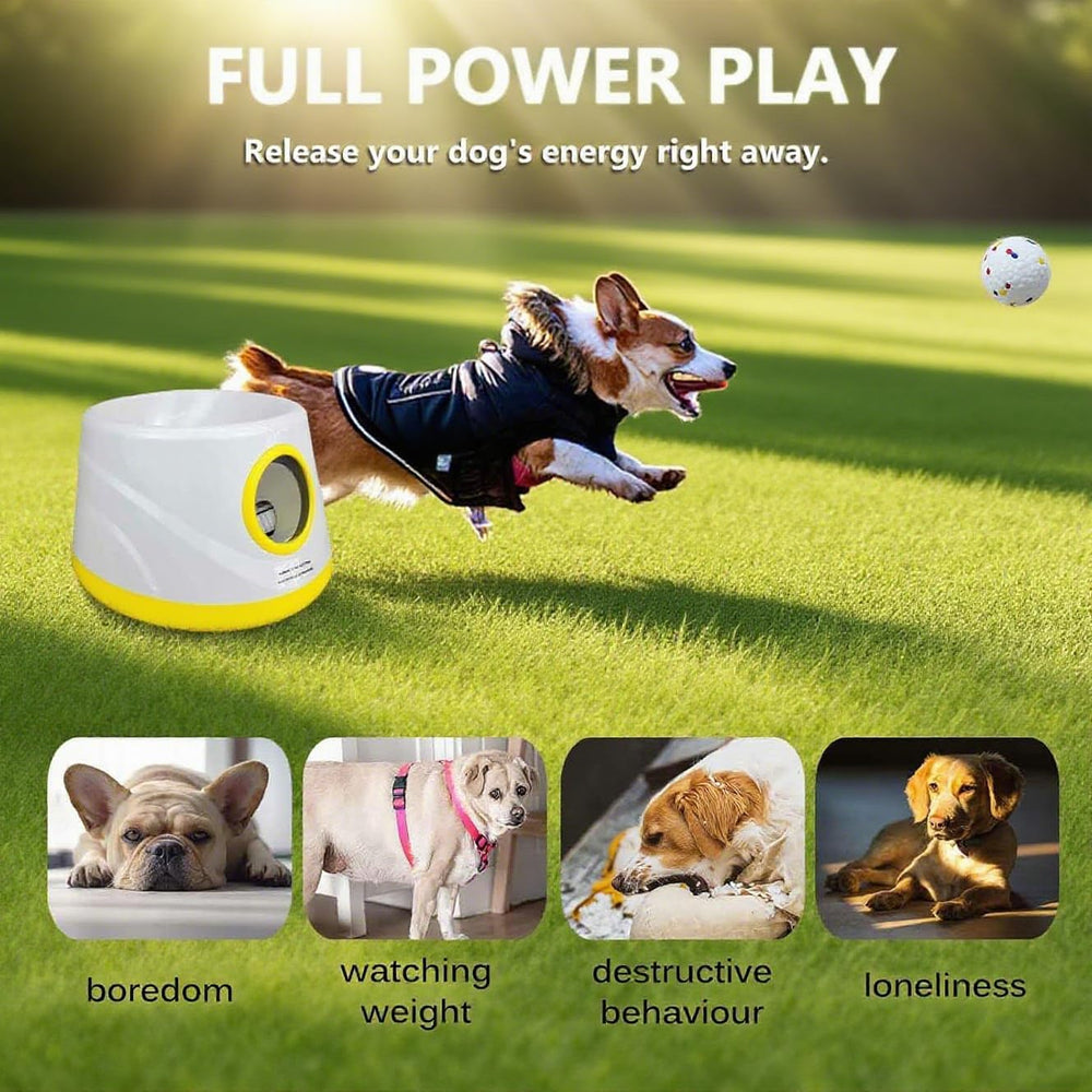 GaleKoon portable design for indoor and outdoor play sessions.