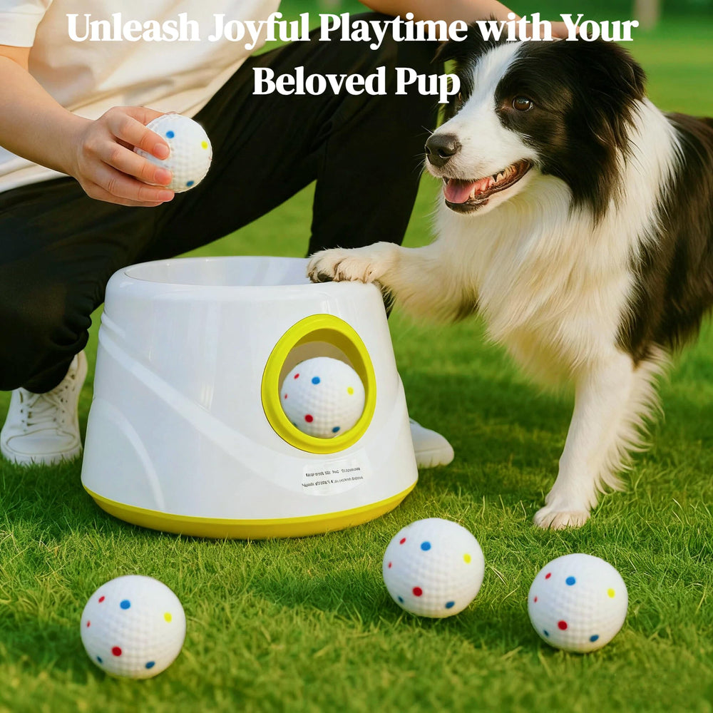 GaleKoon six-ball-pack ready for continuous fetch.