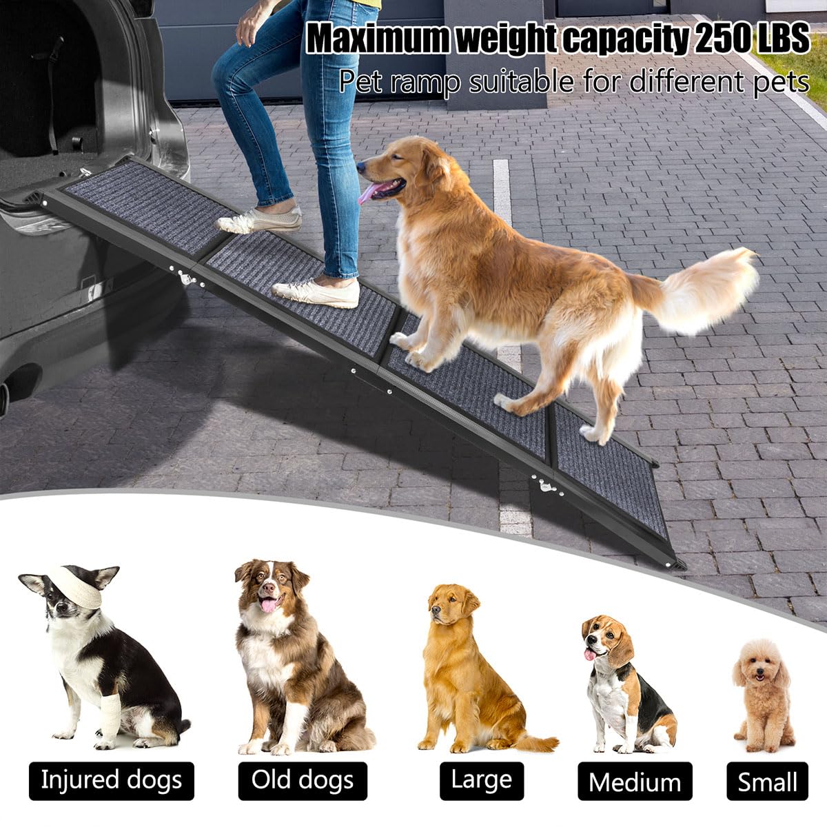 GaliGali dog ramp supporting up to 250 pounds for big breeds
