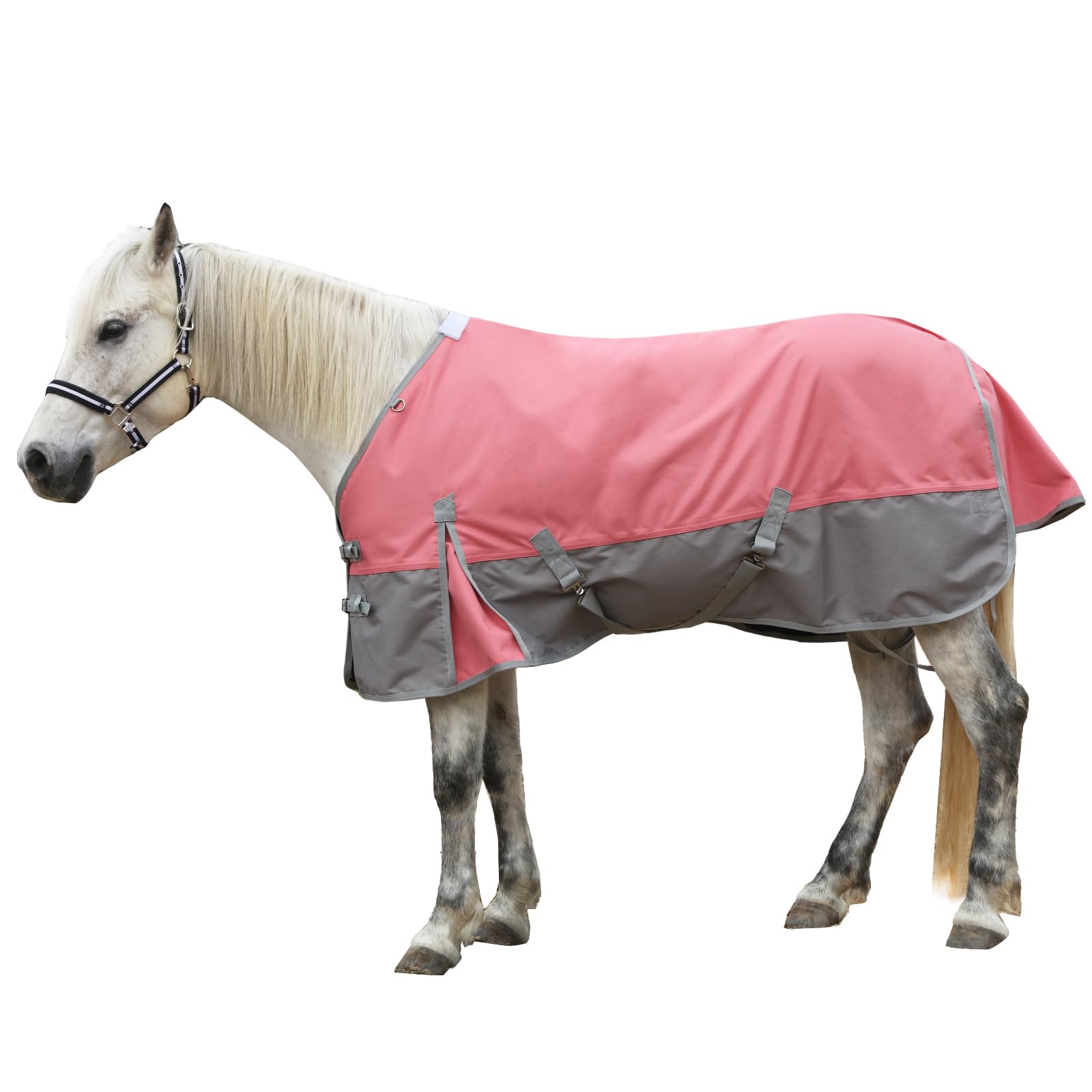 Gallopoff 1200 Denier turnout front-buckle closure provides secure fit for wet-weather rides.