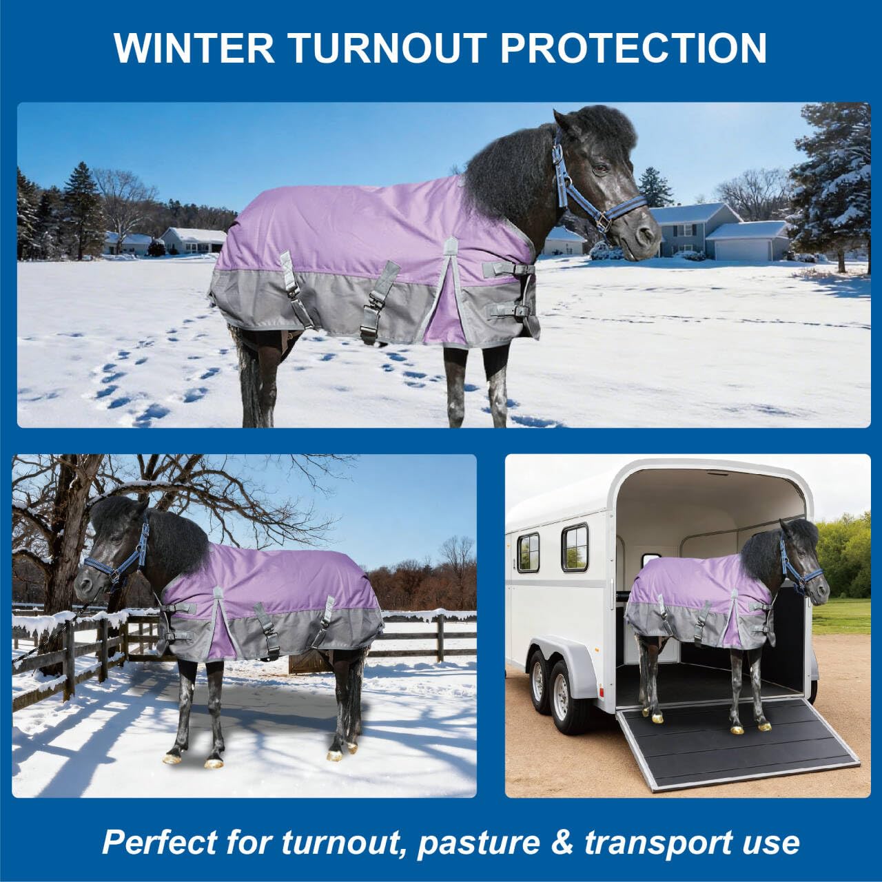 Gallopoff adjustable-leg-straps help keep the blanket in place during pasture time.