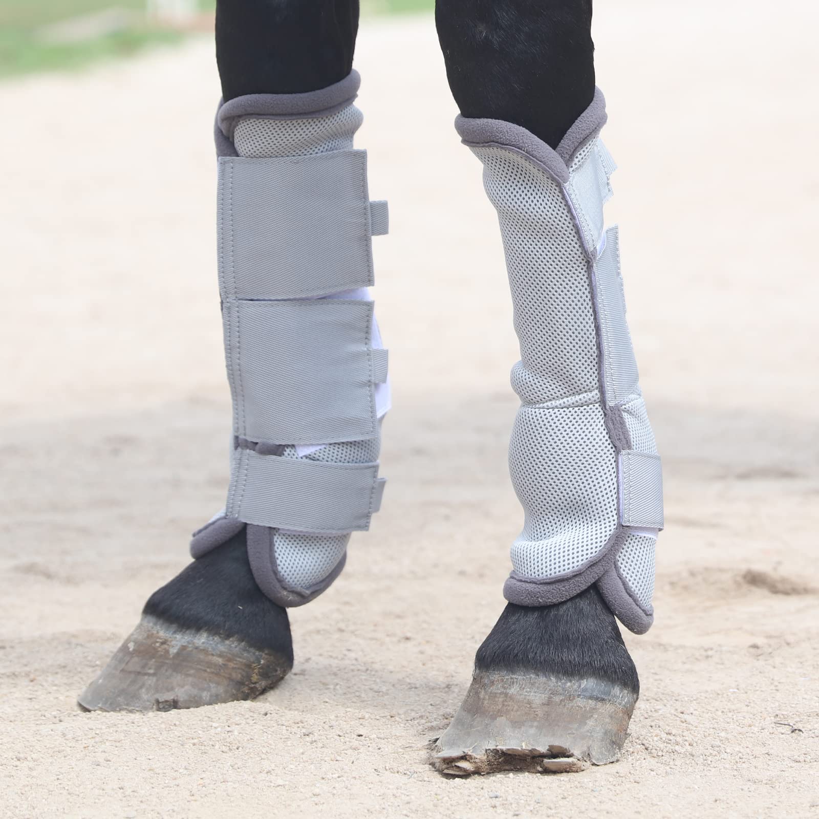 Gallopoff Fly Boots on a horse in pasture demonstrate protection and ease of use.