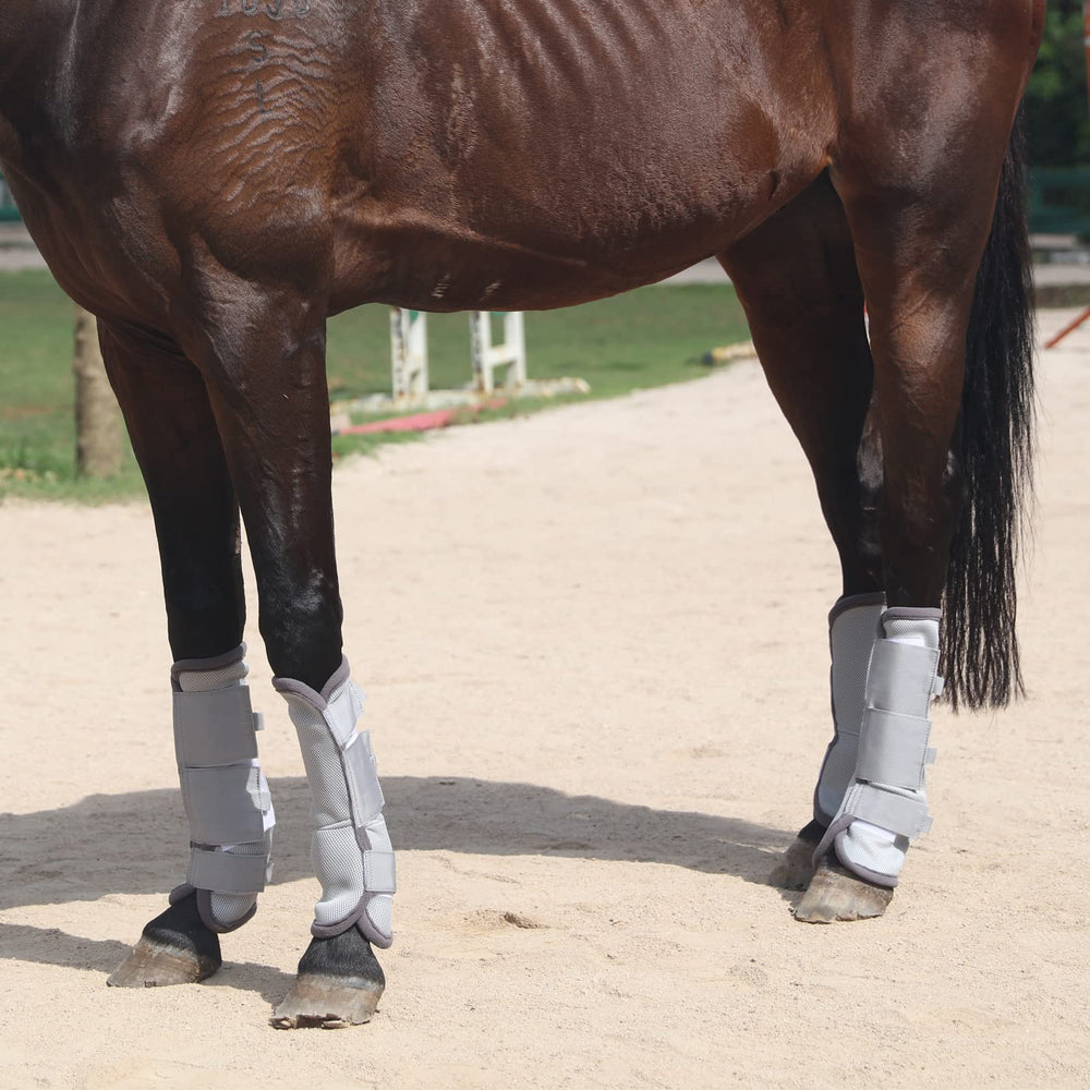 Gallopoff Fly Boots ventilated leg area supports cooling airflow and movement.