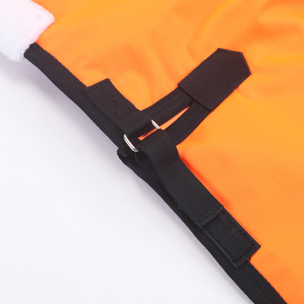 Gallopoff foal blanket tail cover and wither protector reduce rubbing
