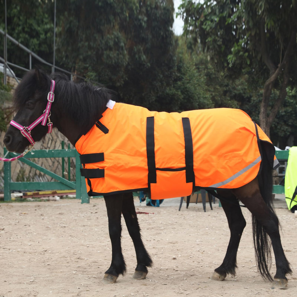 Gallopoff foal blanket three sizes fit most newborn foals and minis