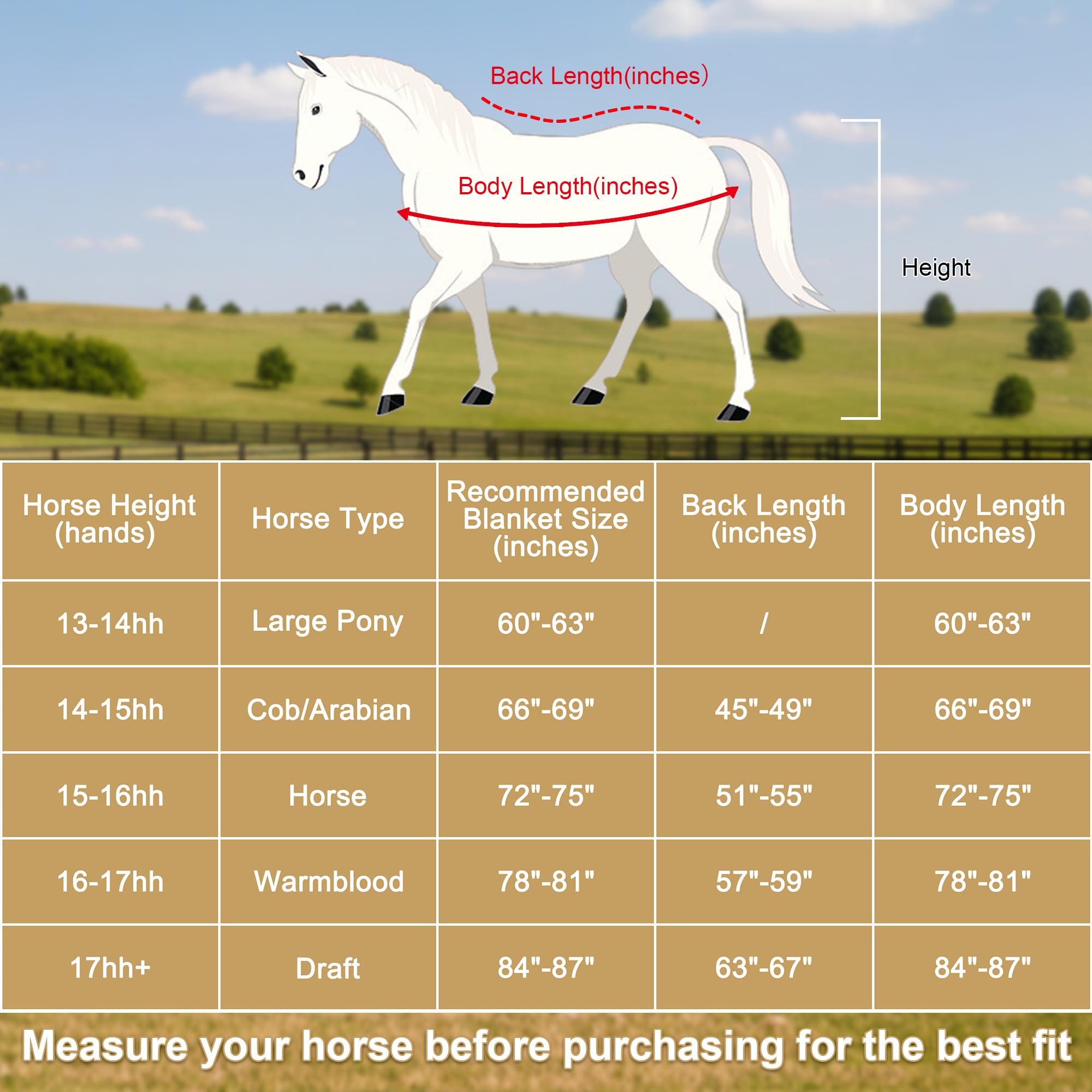 Gallopoff horse fleece cooler on stable blanket pairing for year-round use