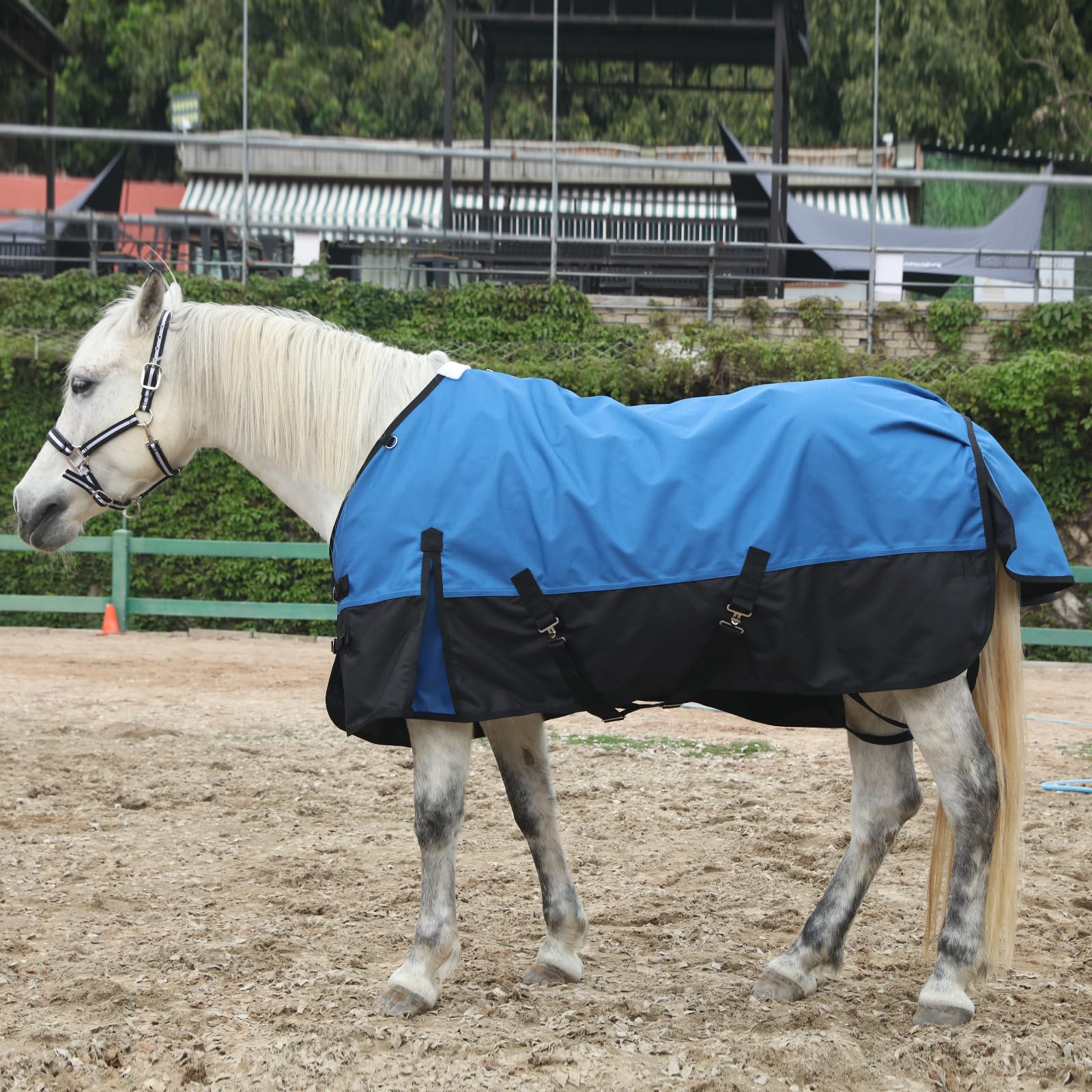 Gallopoff neck D-rings allow optional neckpiece or hood attachment