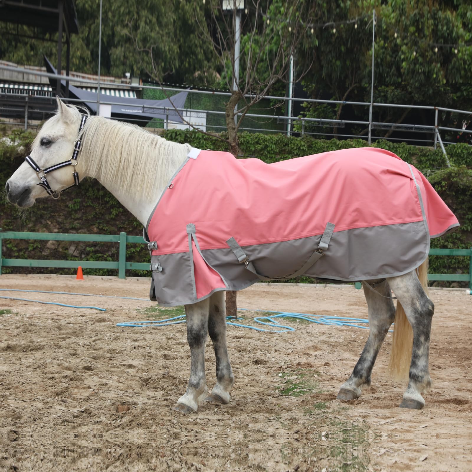 Gallopoff neck D-rings allow optional neck piece for weather protection.