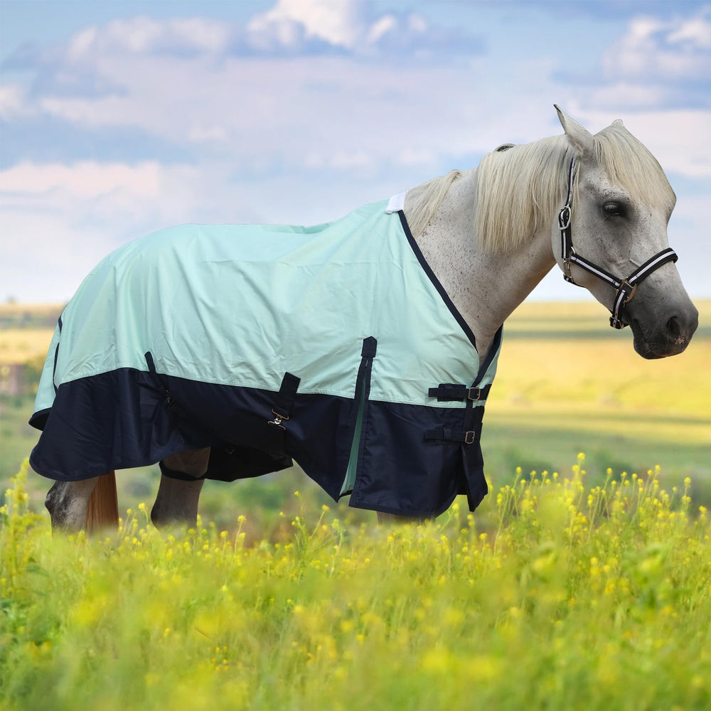 Gallopoff adjustable leg straps ensure secure, comfortable positioning