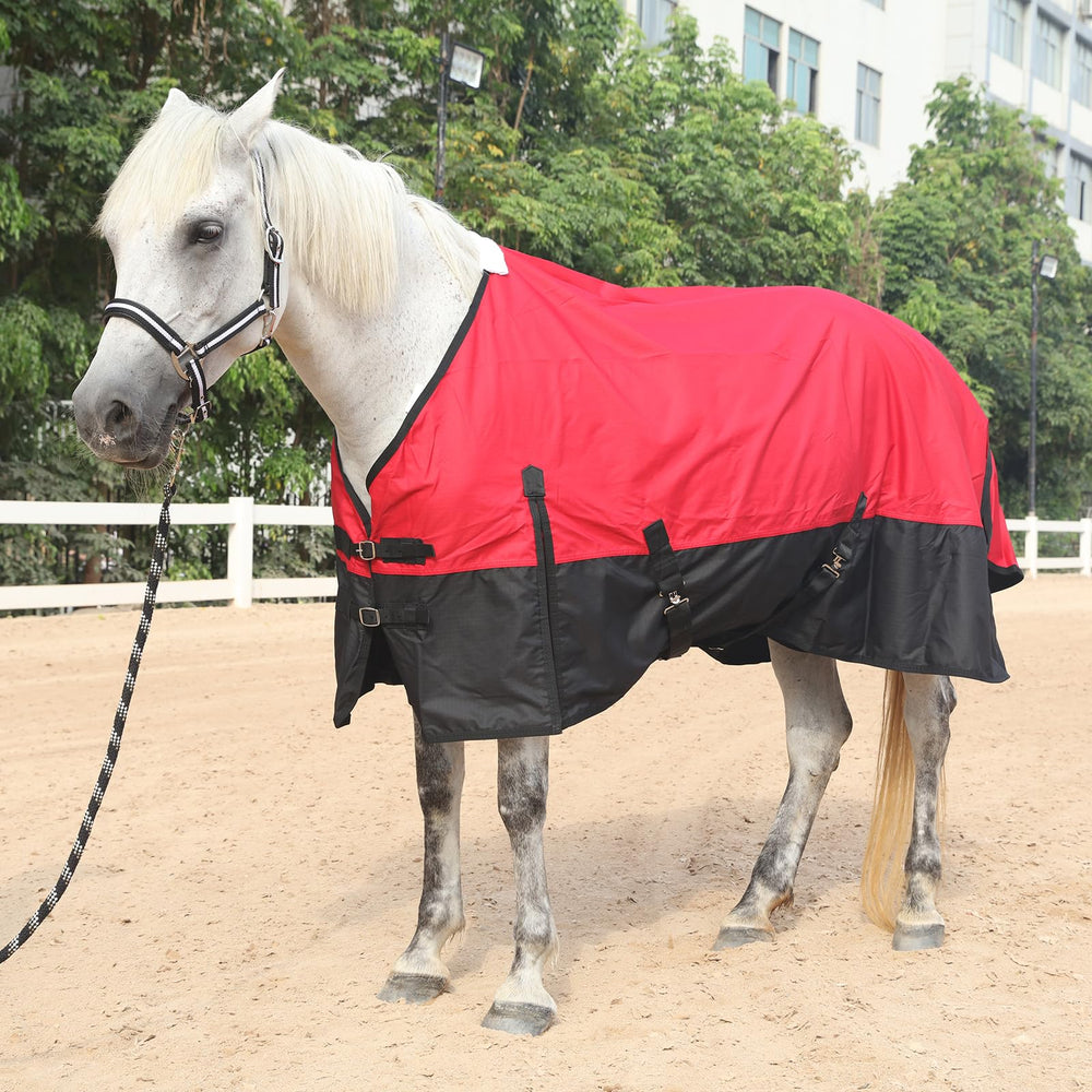 Gallopoff rain sheet tail coverage shows protection from rain and wind.