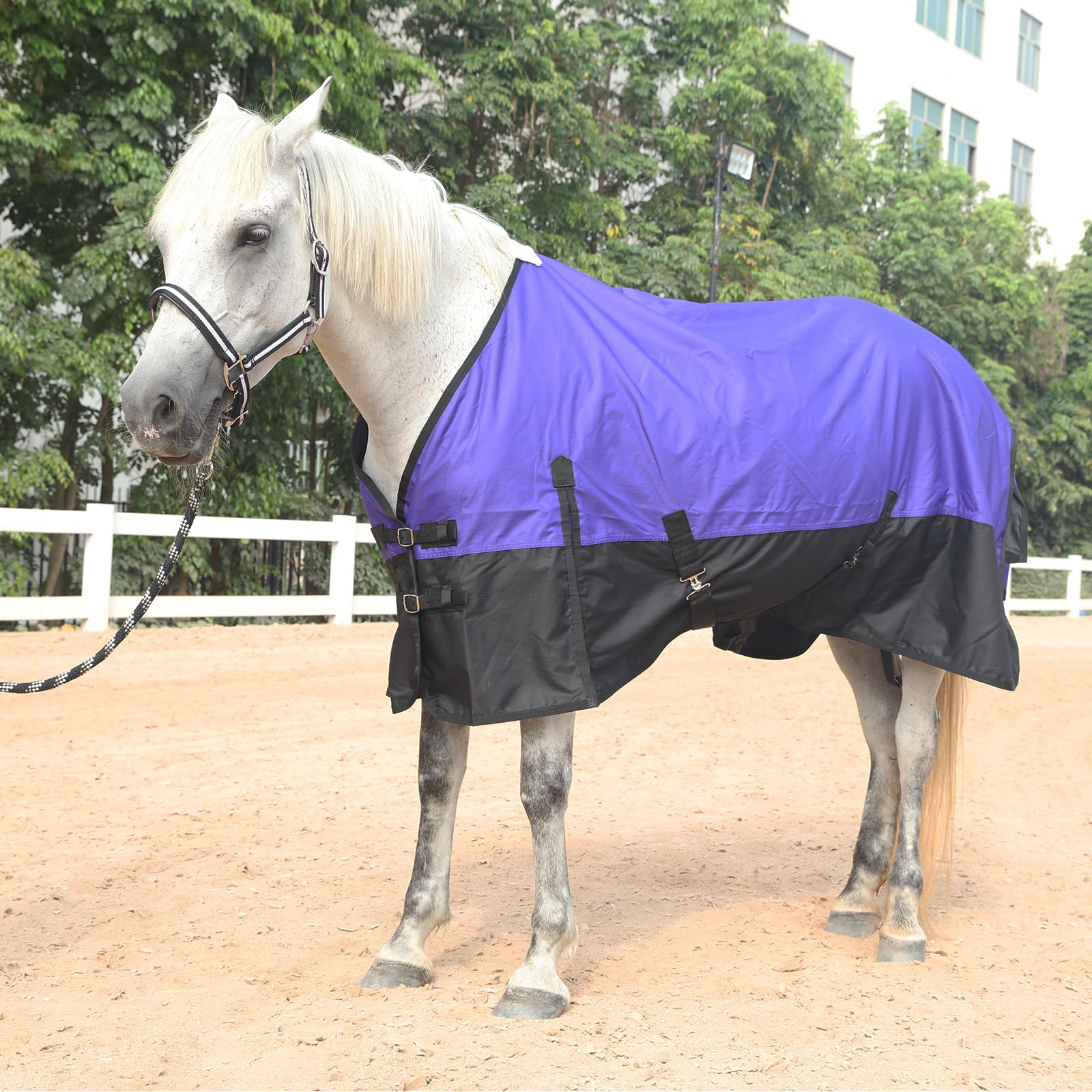Gallopoff no-fill turnout blanket offers lightweight coverage without added warmth