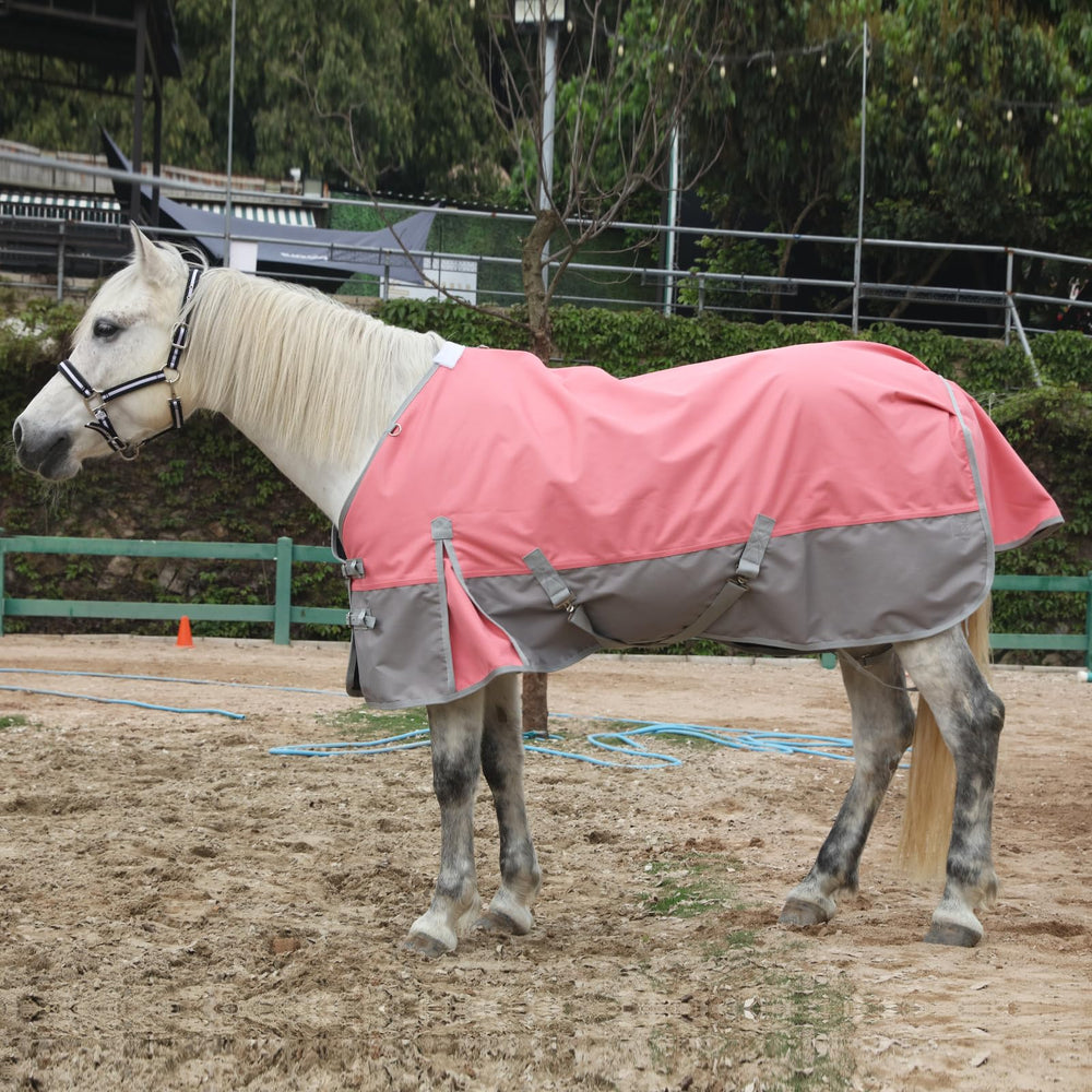 Gallopoff no-fill turnout sheet demonstrates breathable rain protection without overheating.