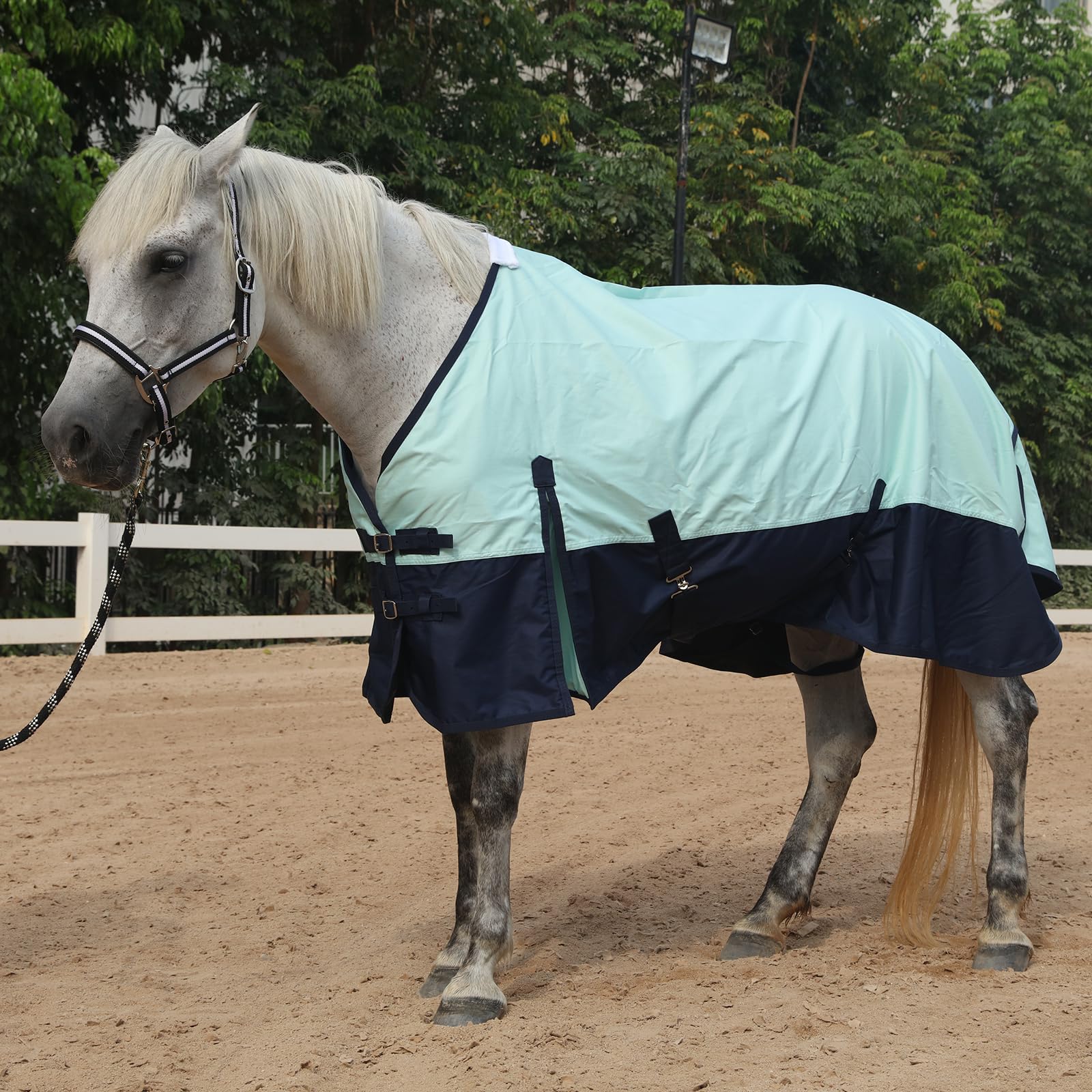 Gallopoff turquoise navy rain sheet on horse highlights versatile weather protection