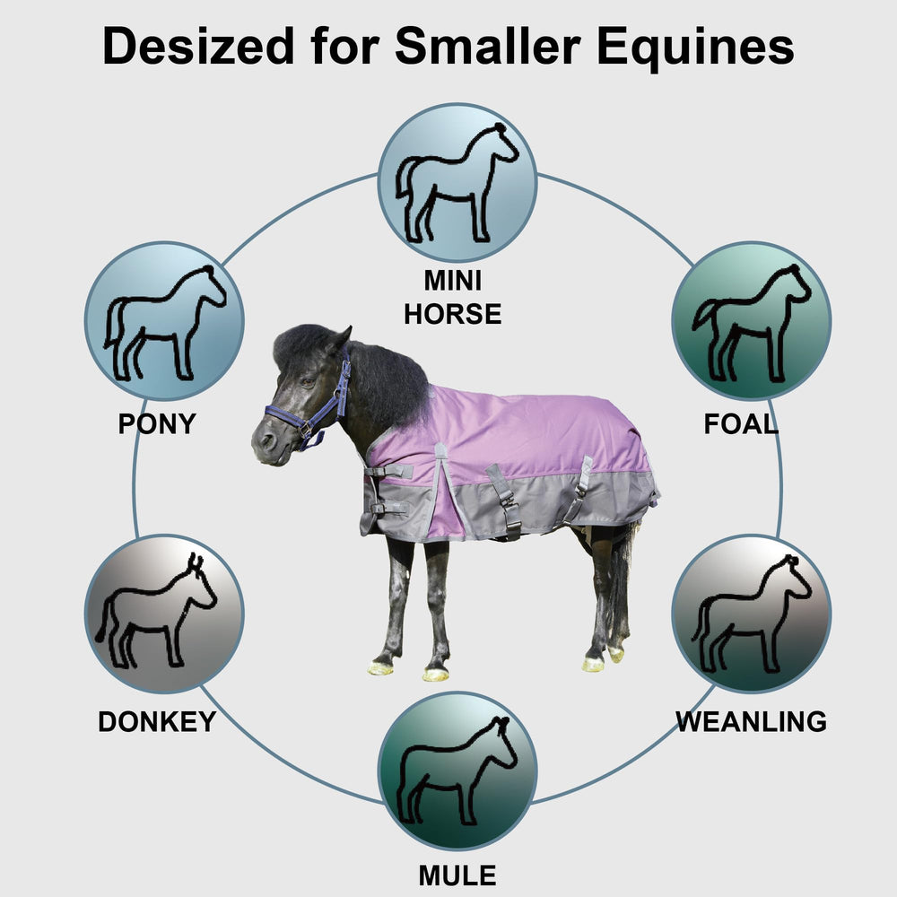 Gallopoff violetgrey-51 blanket on a pony highlights visibility and practical turnout gear.