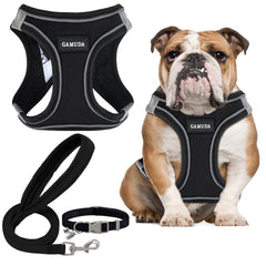 GAMUDA arnés-collar-y-leash-conjunto, comodidad para paseos diarios