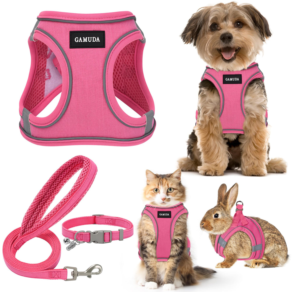 GAMUDA arnés, collar y correa: conjunto completo para paseos seguros.